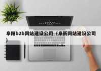 阜阳b2b网站建设公司（阜新网站建设公司）