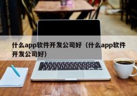 什么app软件开发公司好（什么app软件开发公司好）