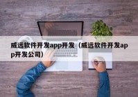 威远软件开发app开发（威远软件开发app开发公司）