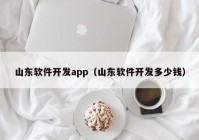 山东软件开发app（山东软件开发多少钱）