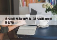 沈阳软件开发app平台（沈阳制作app软件公司）