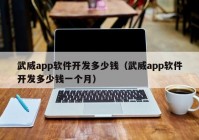 武威app软件开发多少钱（武威app软件开发多少钱一个月）