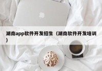 湖南app软件开发招生（湖南软件开发培训）