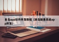 青岛app软件开发教程（青岛销售系统app开发）