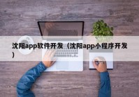 沈阳app软件开发（沈阳app小程序开发）